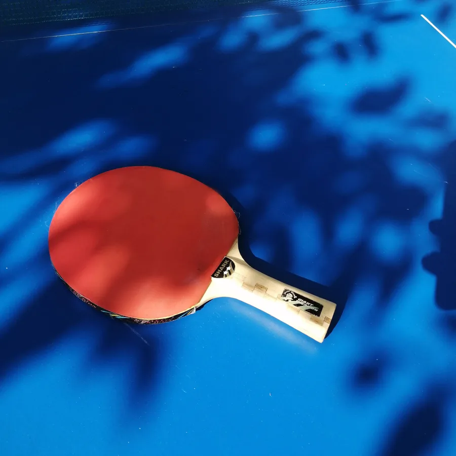 Dappled light falling across a table tennis table and paddle