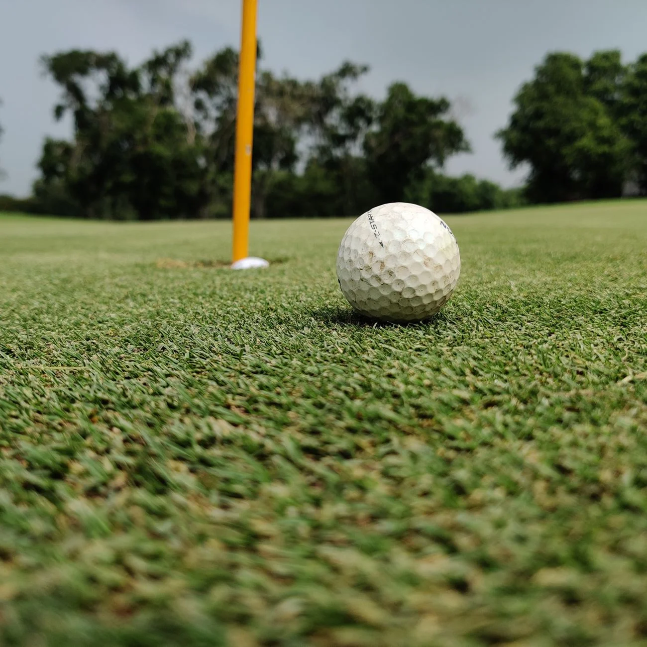 A golf ball resting on the green near the hole